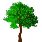 tree-17
